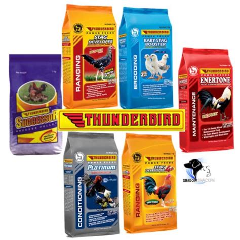 thunderbird feeds